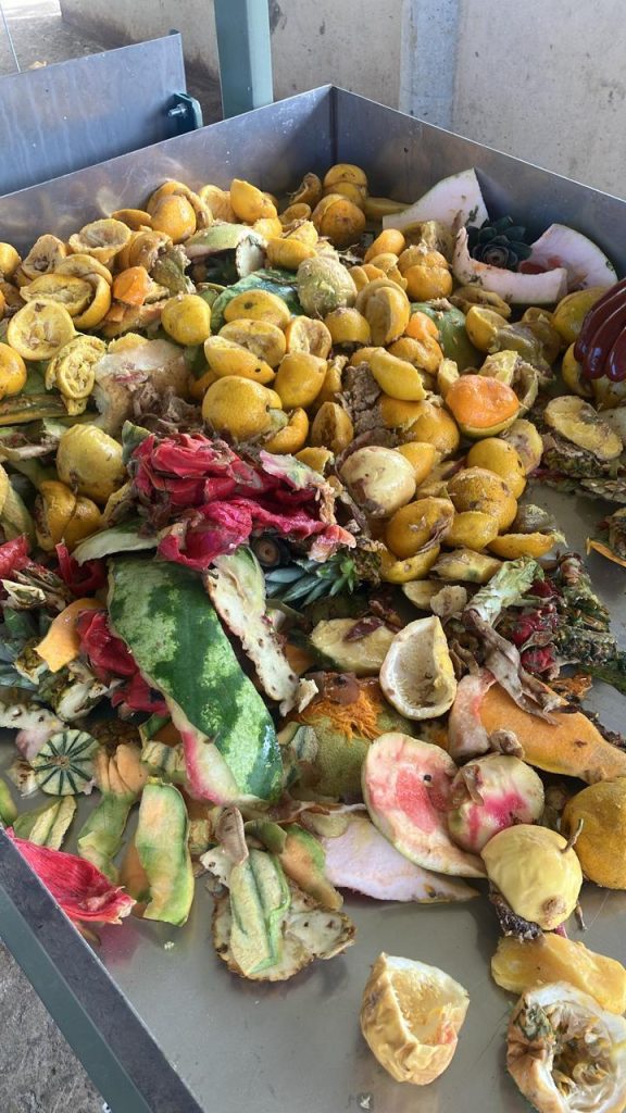 Restes alimentaires végétaux (fruits, épluchures) déposés sur une table de tri avant le broyage sur le site de compostage AGRECO