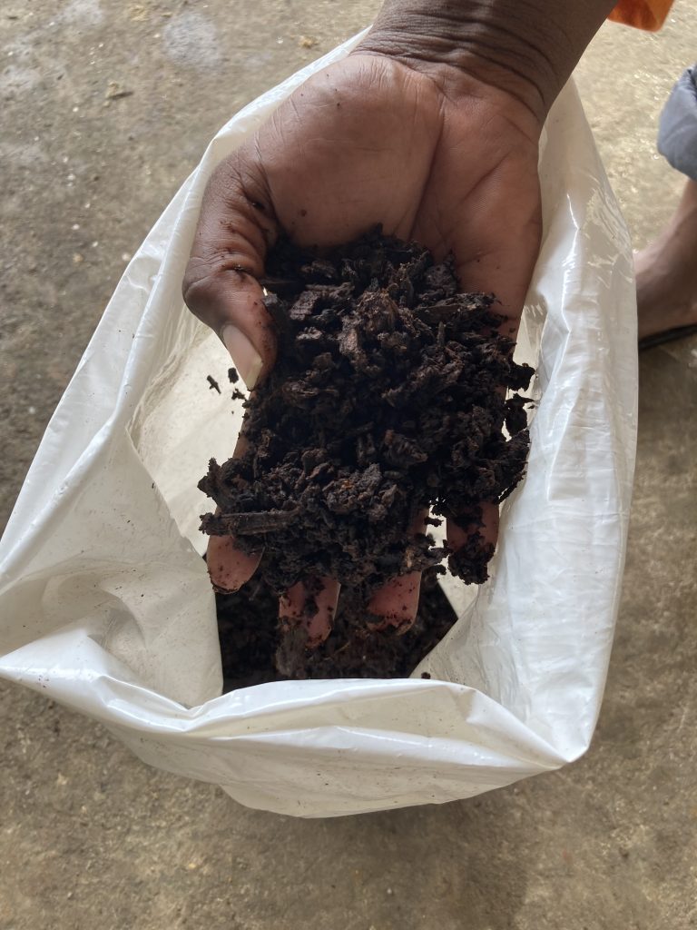 Main tenant du compost mûr au-dessus d’un sac de conditionnement, stade final du processus de compostage chez AGRECO