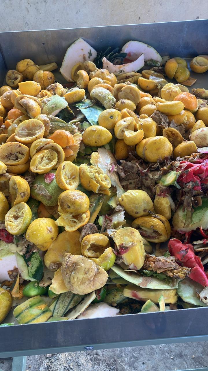 Restes de fruits tropicaux triés sur une table de préparation, en attente de broyage pour compostage sur le site AGRECO